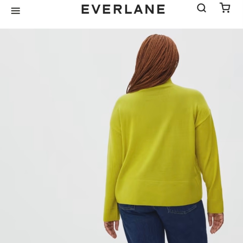 Everlane The Cashmere Square Turtleneck - Picture 4 of 7